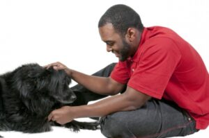 become a dog trainer