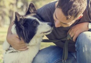 Conifer Canine dog training