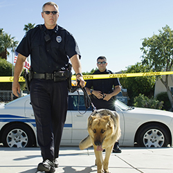 police dog training