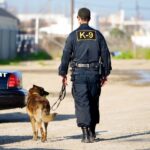 police K9 training