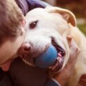 How to Change a Dog’s Behavior