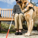 Service Dog Aiding a Blind Woman