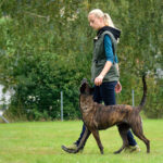 Dog Trainer with Dog