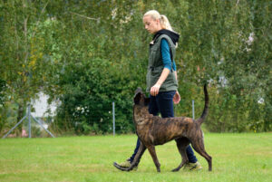 Dog Trainer with Dog