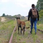 Service Dog for PTSD
