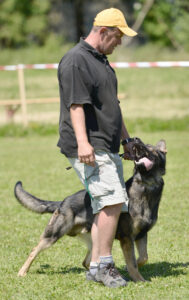 Dog training