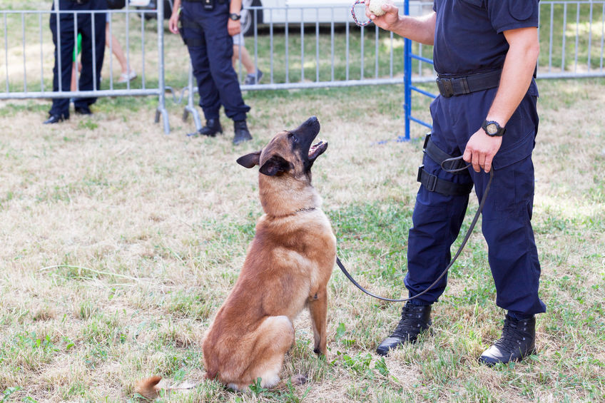 Police Dog Trainer