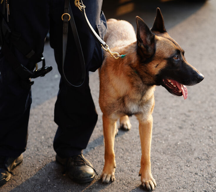 Cadaver Dog With Officer