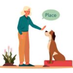 An animation of a woman training a dog