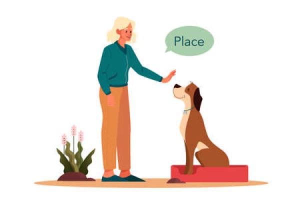 An animation of a woman training a dog