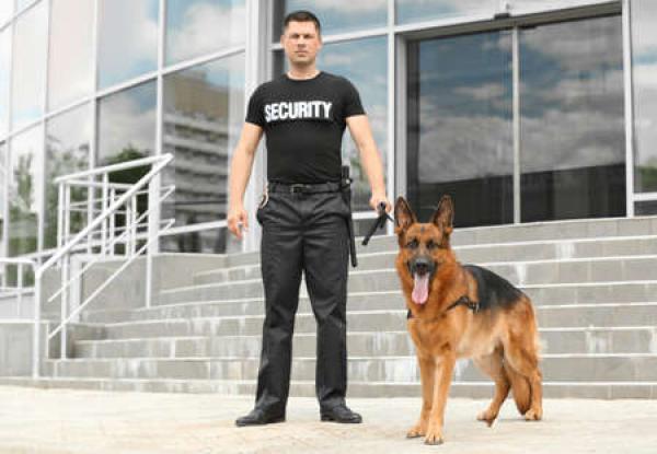 A security guard and his dog