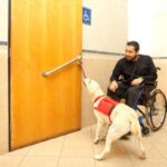 A dog helps a man in a wheelchair open a door