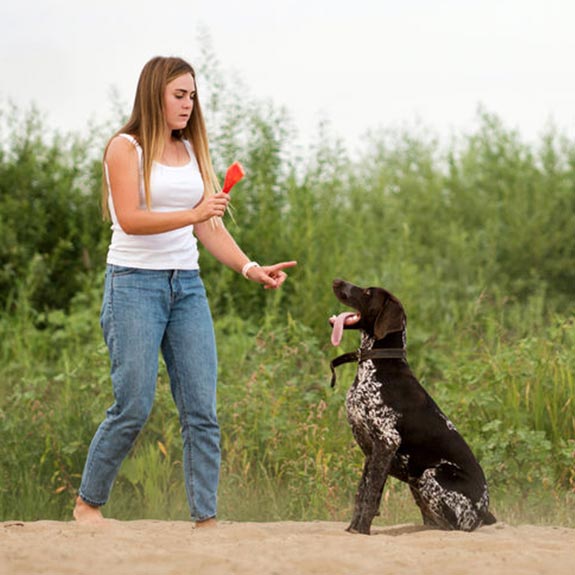 dog trainer