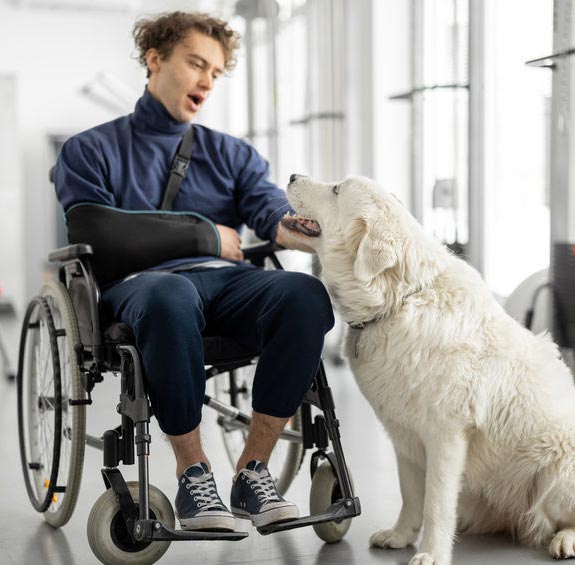 Service dog trainer best sale course