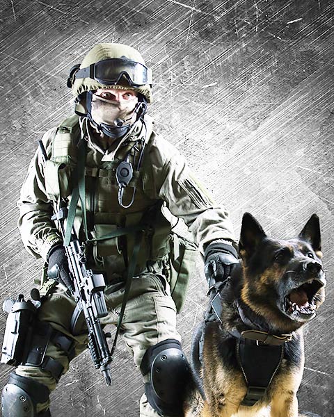 how-much-does-it-cost-to-train-a-police-dog