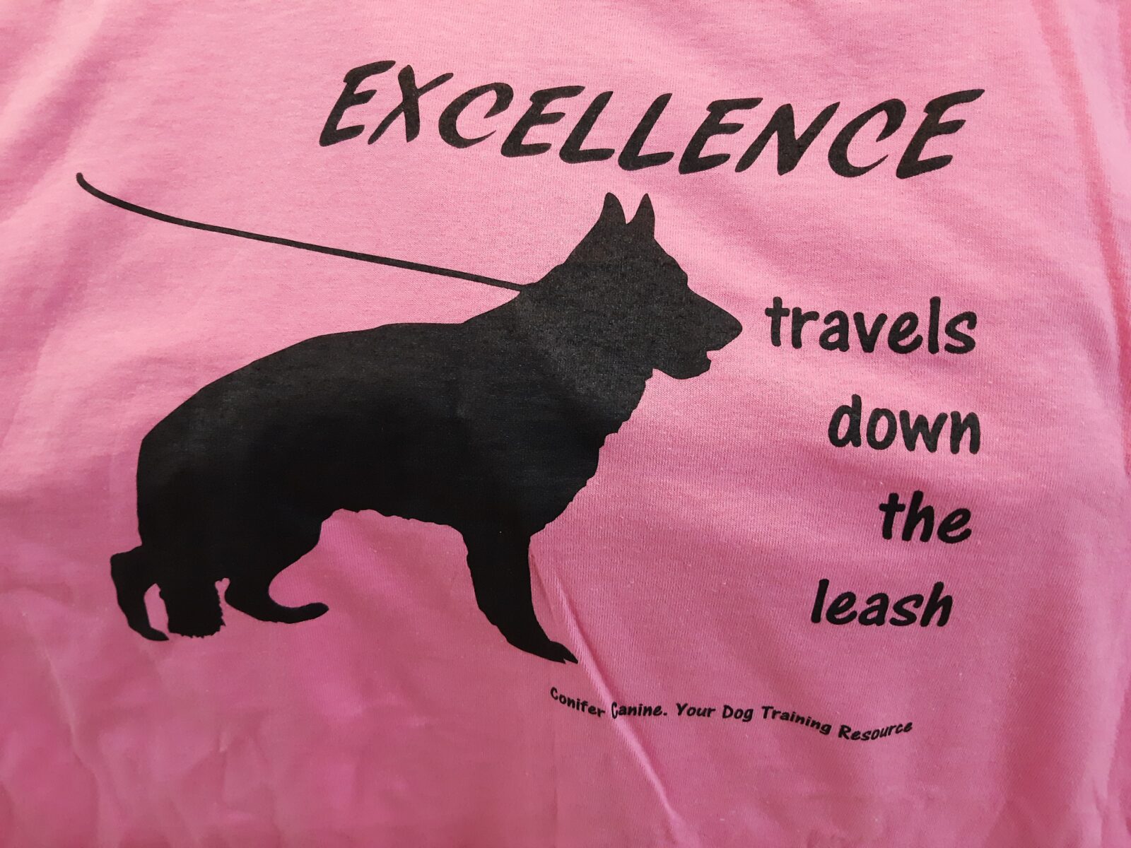 products-dog-trainer-college