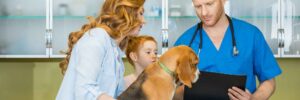 canine respiratory virus